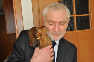 jamnik d�ugow�osy NAILA